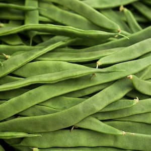 Flat Beans